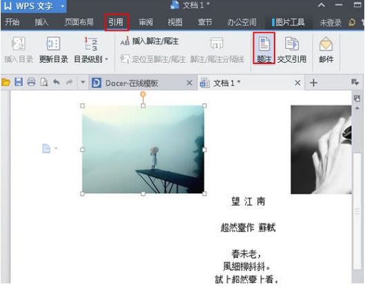 在WPS文字中怎么样给图片添加题注（图注）