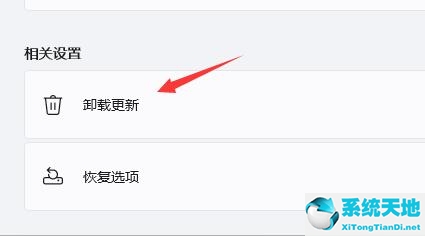 Windows 11频繁闪屏刷新桌面如何解决?
