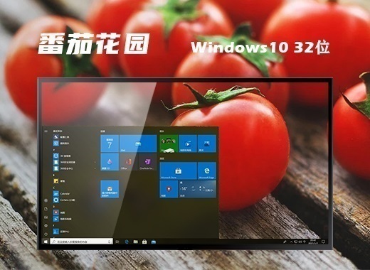 番茄花园 ghost Windows 10 32位简洁正式版 v2022.10