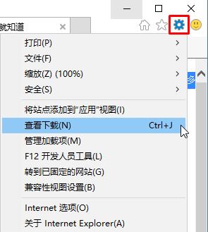 Windows 10专业版下IE浏览器下载地址如何更改？