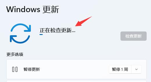 Windows 11分辨率锁死1024×768没办法更改的解决方案